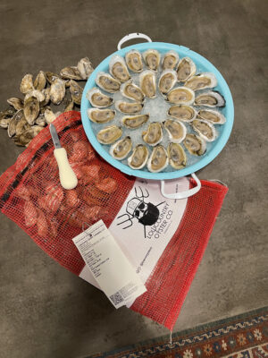 oyster - cadybag